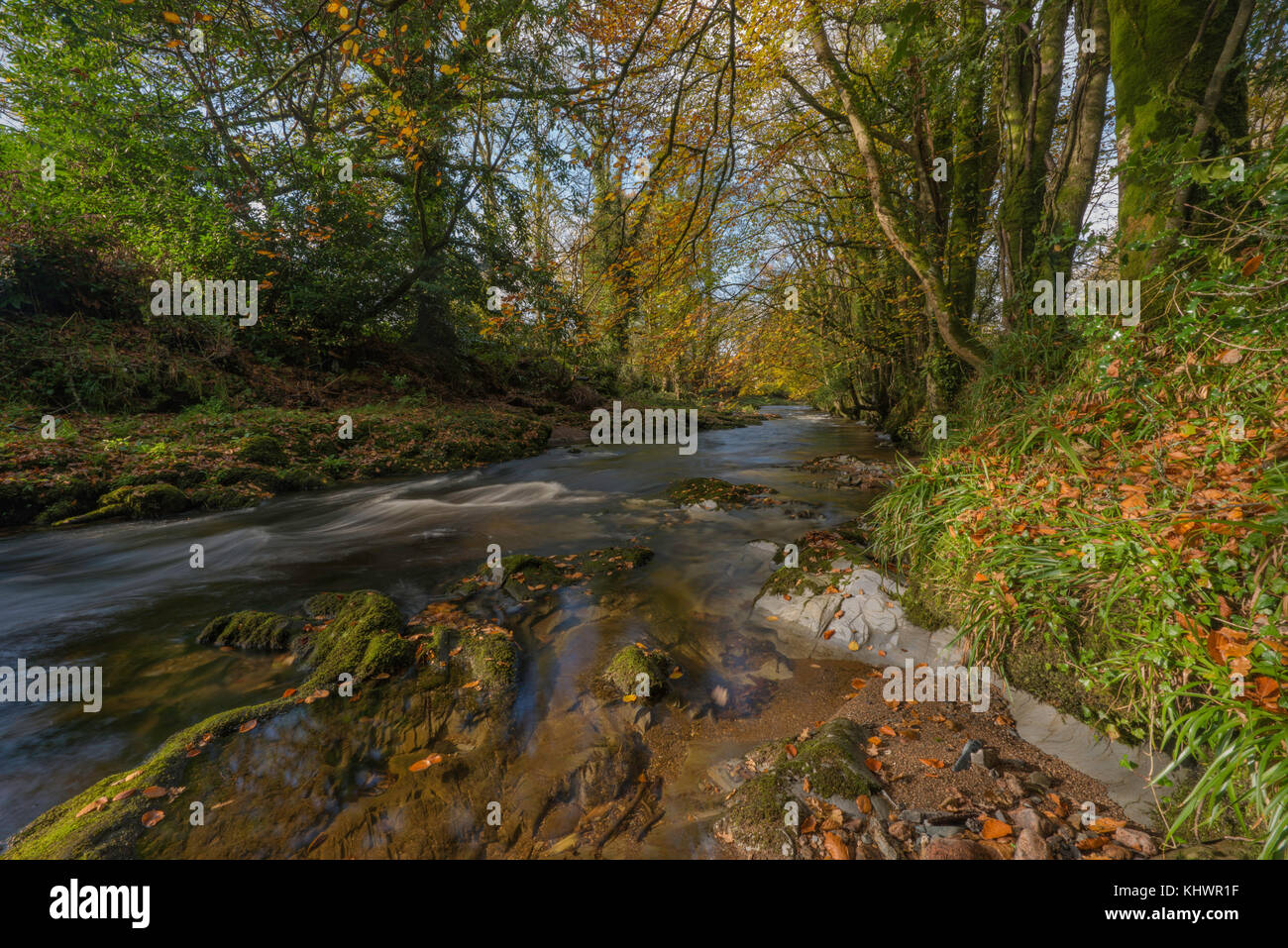 Fluss Avon bei avonwick in South Devon, Großbritannien. Stockfoto