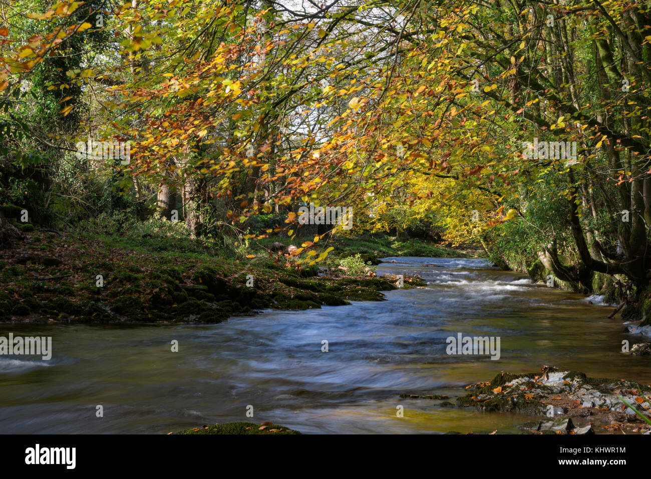Fluss Avon bei avonwick in South Devon, Großbritannien. Stockfoto