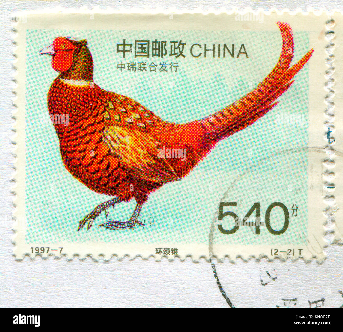 GOMEL, WEISSRUSSLAND, 27. OKTOBER 2017, Briefmarke gedruckt in China zeigt Bild des Vogels, um 1997. Stockfoto