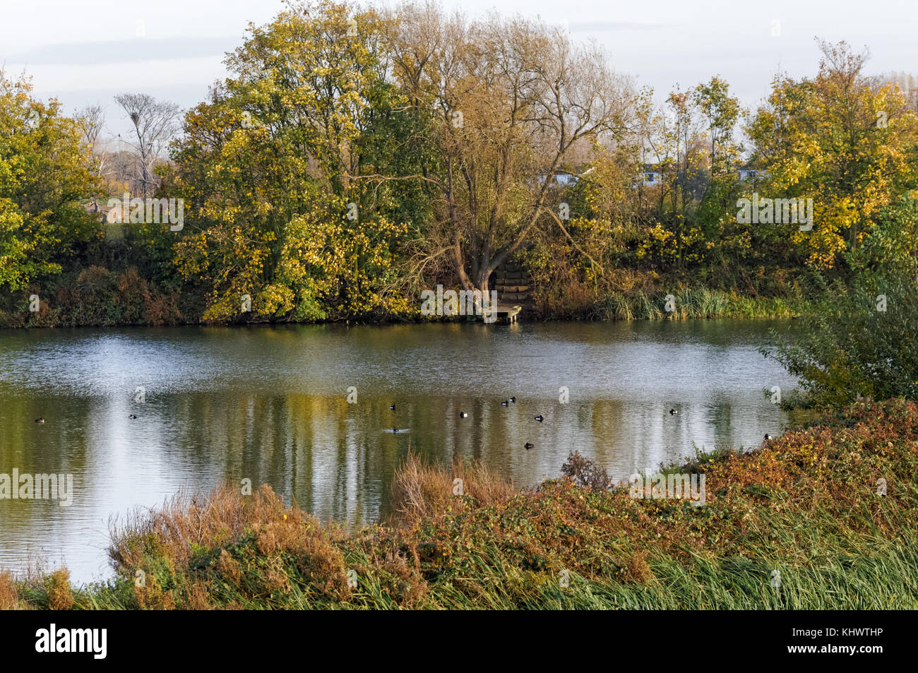 Stausee im Herbst auf Walthamstow Wetlands, London, England, Vereinigtes Königreich, Vereinigtes Königreich Stockfoto