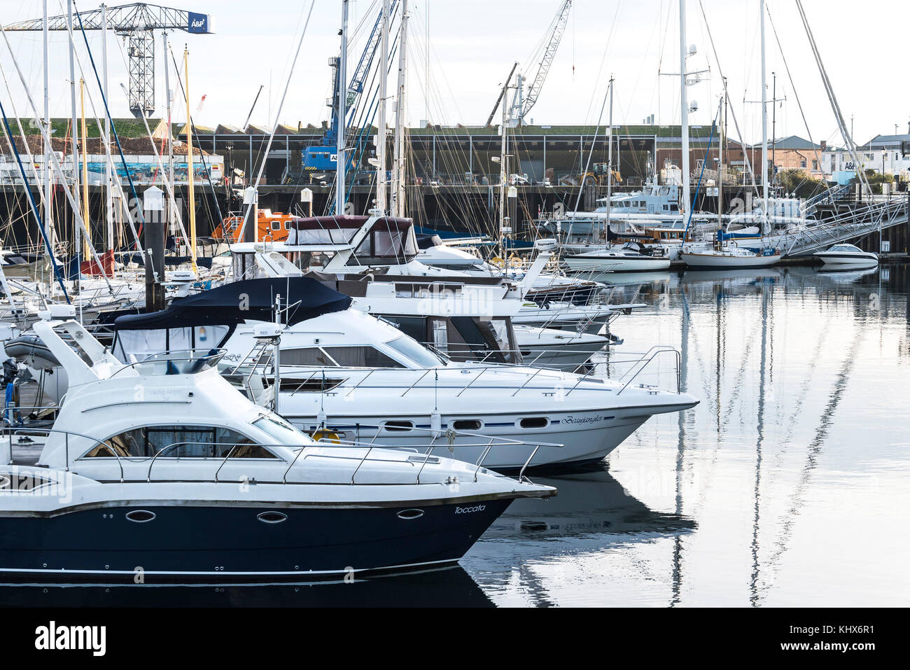 Boote Yachten Segelboote legen in Port Pendennis Marina Falmouth Cornwall UK fest. Stockfoto