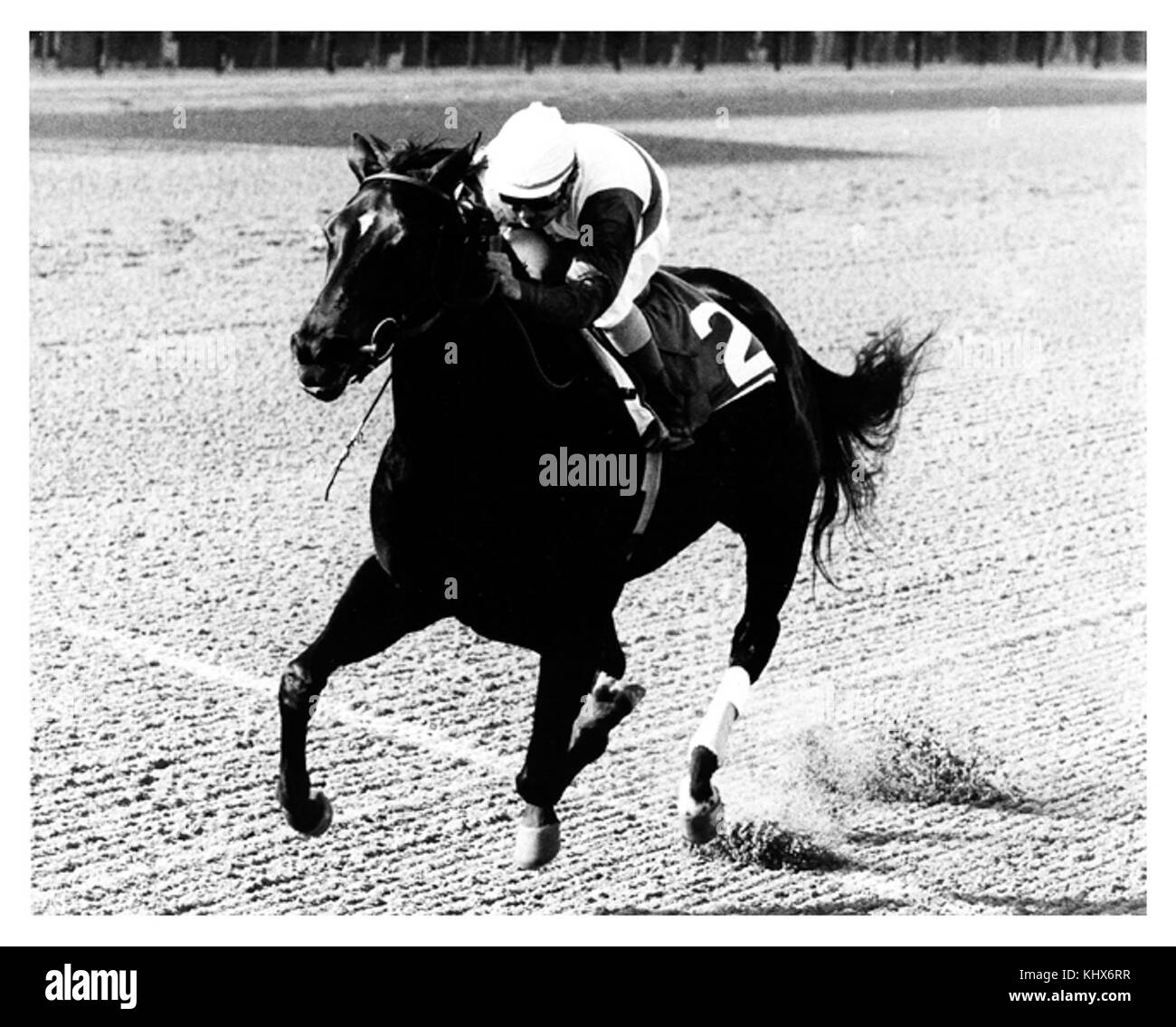 Ruffian mit ihren Jockey Jacinto Vazquez Stockfoto