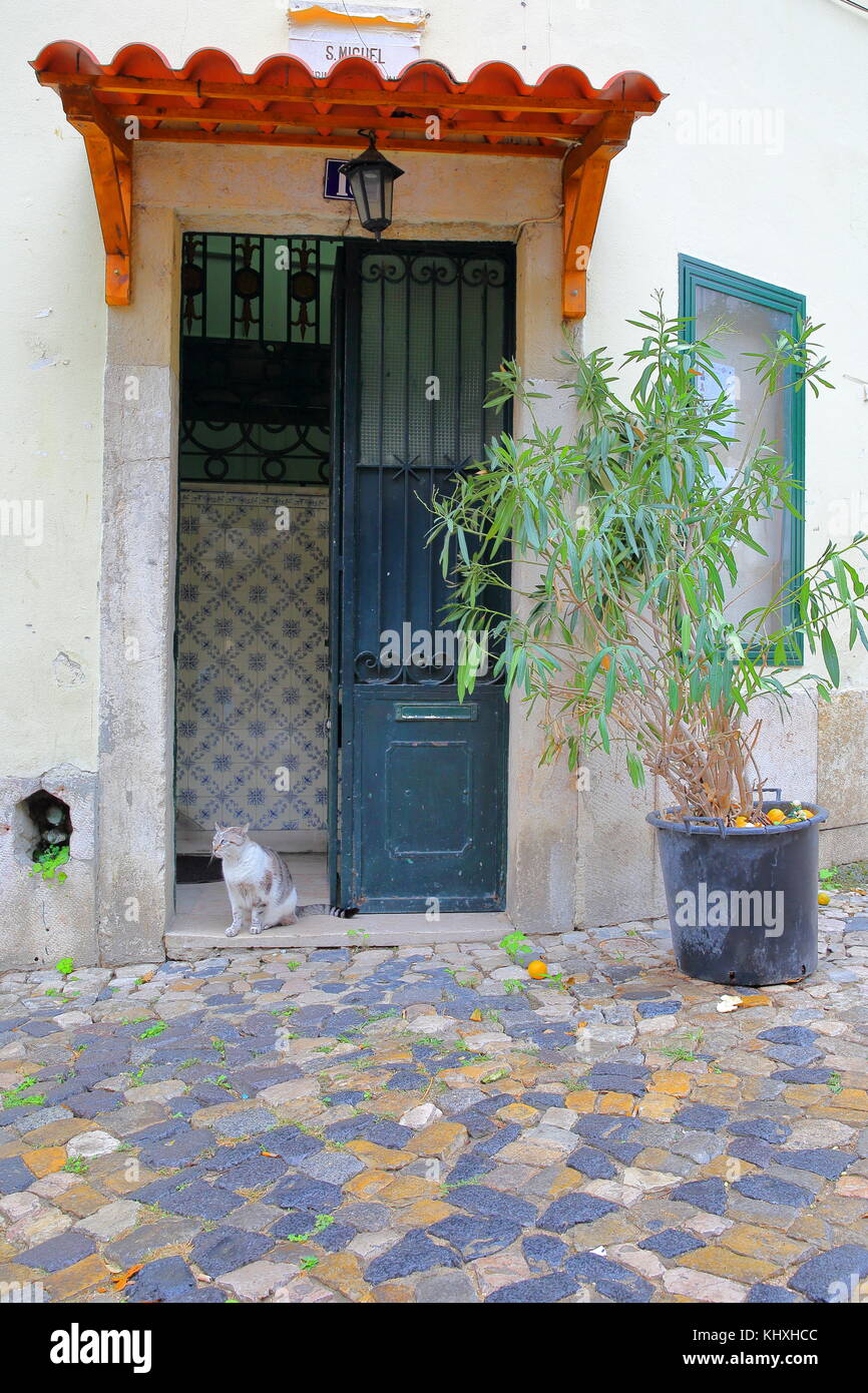 LISSABON, PORTUGAL - 2. NOVEMBER 2017: Haupteingang eines traditionellen Hauses mit einer Katze im Affama-Viertel Stockfoto