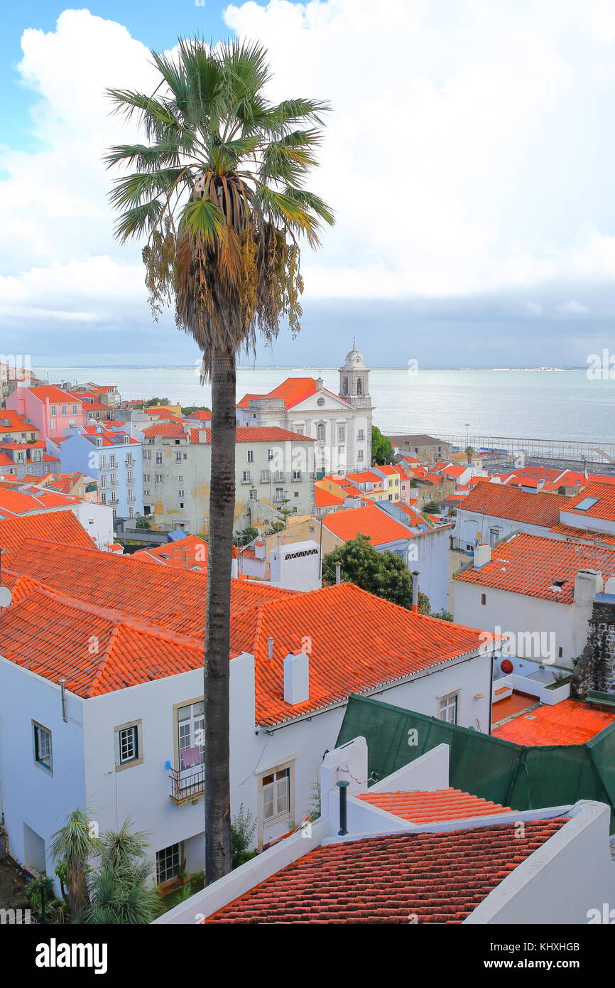 Alfama Viertel von Santa Luzia Aussichtspunkt angesehen (miradouro) mit einer Palme und Santa estevao Kirche und den Fluss Tejo, Lissabon, Portugal Stockfoto