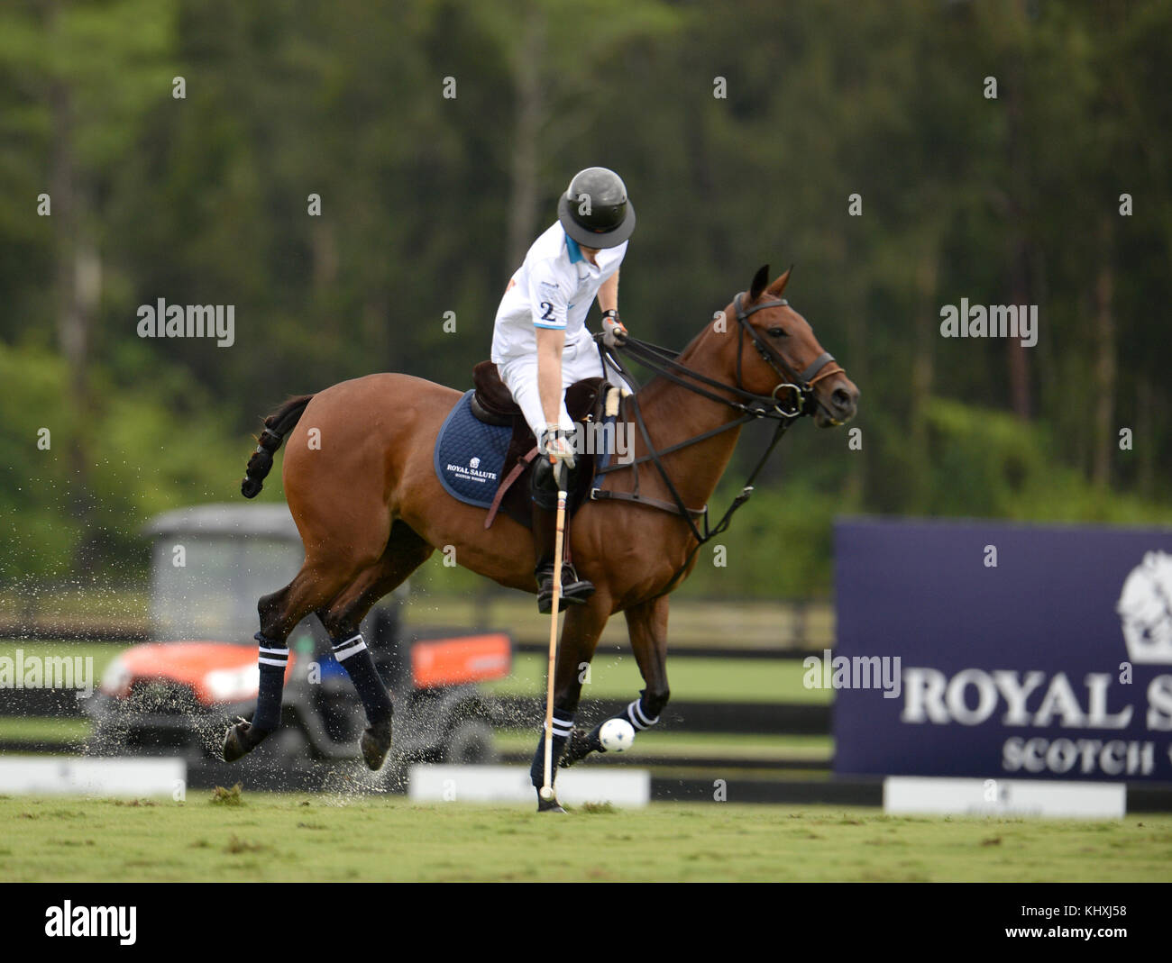 WELLINGTON, FL - MAI 04: Prinz Harry nimmt am Sentebale Polo Cup Teil, der vom Royal Salute World Polo präsentiert wird und am 4. Mai 2016 in Wellington, Florida, auf der Valiente Polo Farm in Wellington, Florida, stattfindet. Personen: Prinz Harry Stockfoto