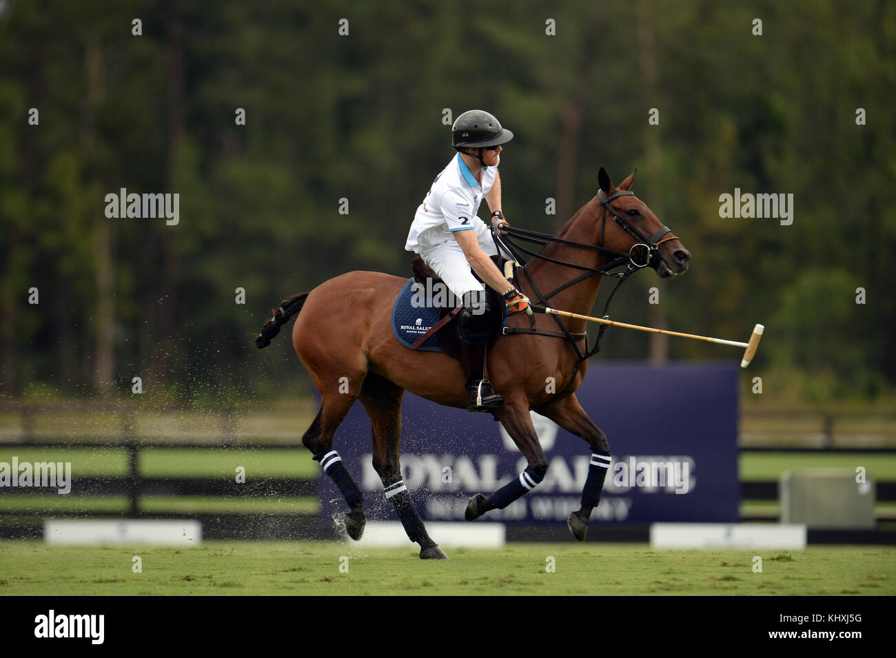 WELLINGTON, FL - MAI 04: Prinz Harry nimmt am Sentebale Polo Cup Teil, der vom Royal Salute World Polo präsentiert wird und am 4. Mai 2016 in Wellington, Florida, auf der Valiente Polo Farm in Wellington, Florida, stattfindet. Personen: Prinz Harry Stockfoto