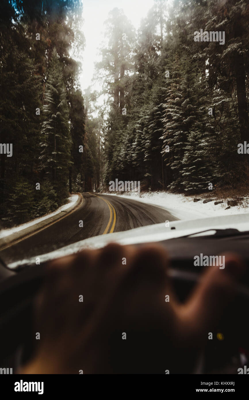 Männliche hand auf ländlichen Straßen im Sequoia National Park, Kalifornien, USA fahren Stockfoto