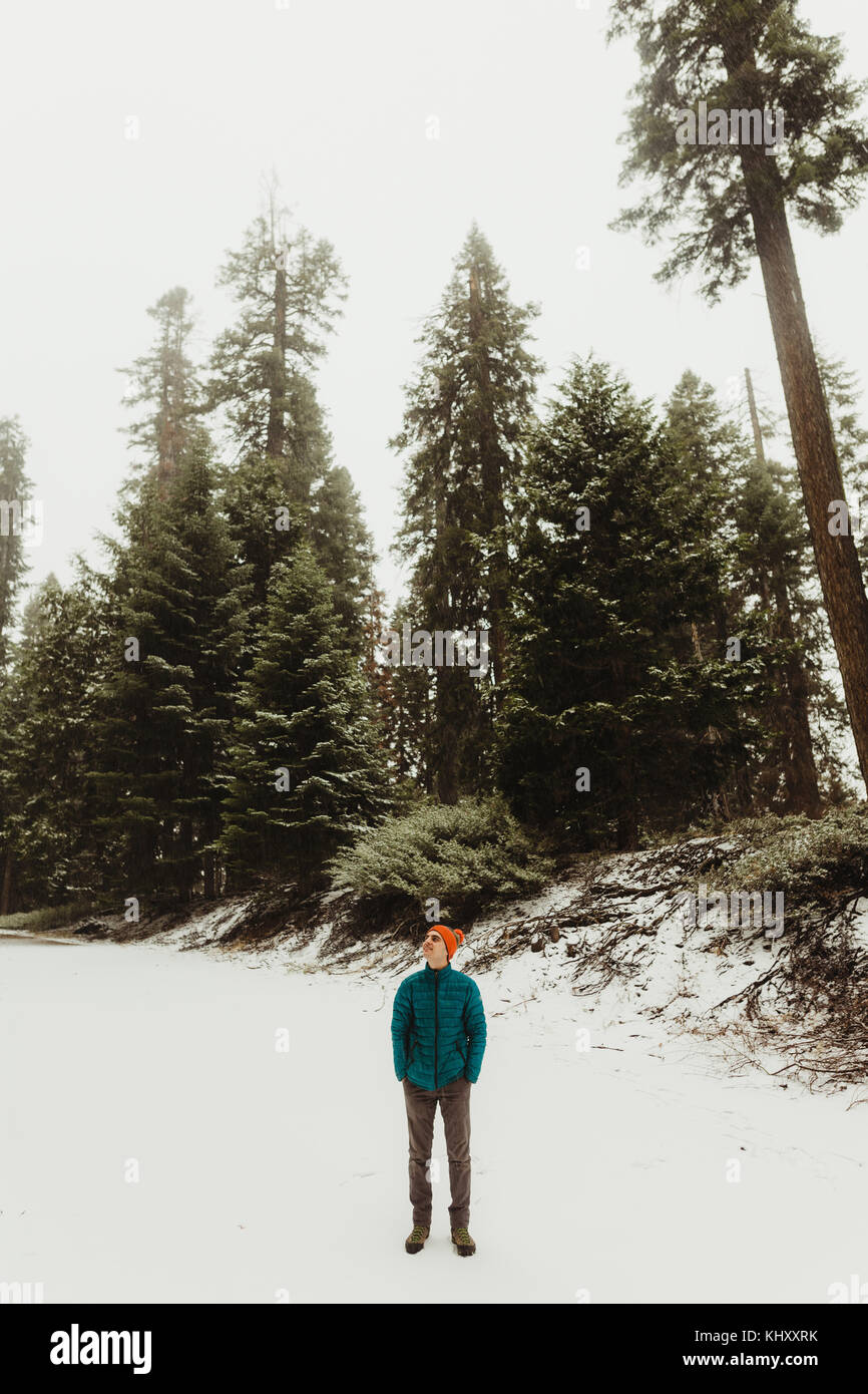 Männliche Wanderer vom Schnee bedeckt Sequoia National Park, Kalifornien, USA Stockfoto