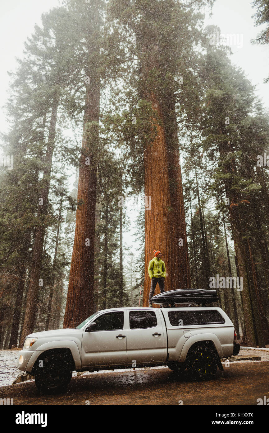 Junger Mann auf Fahrzeug in verschneiten Sequoia National Park, Kalifornien, USA Stockfoto
