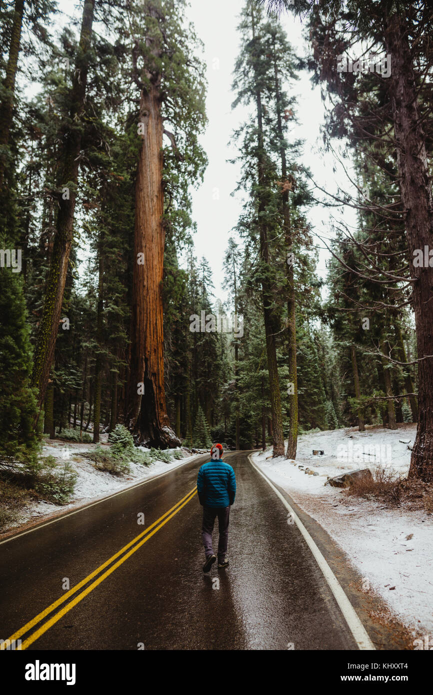 Ansicht der Rückseite des männlichen Wanderer Wandern auf ländlichen Straßen bei Schnee Sequoia National Park, Kalifornien, USA Stockfoto