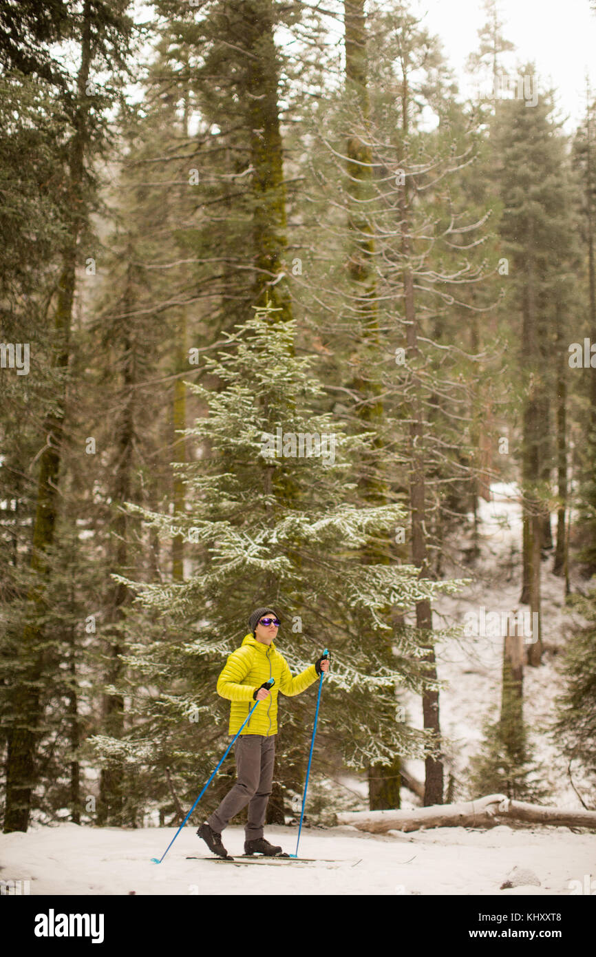 Männliche cross country Skier im Sequoia National Park, Kalifornien, USA Stockfoto