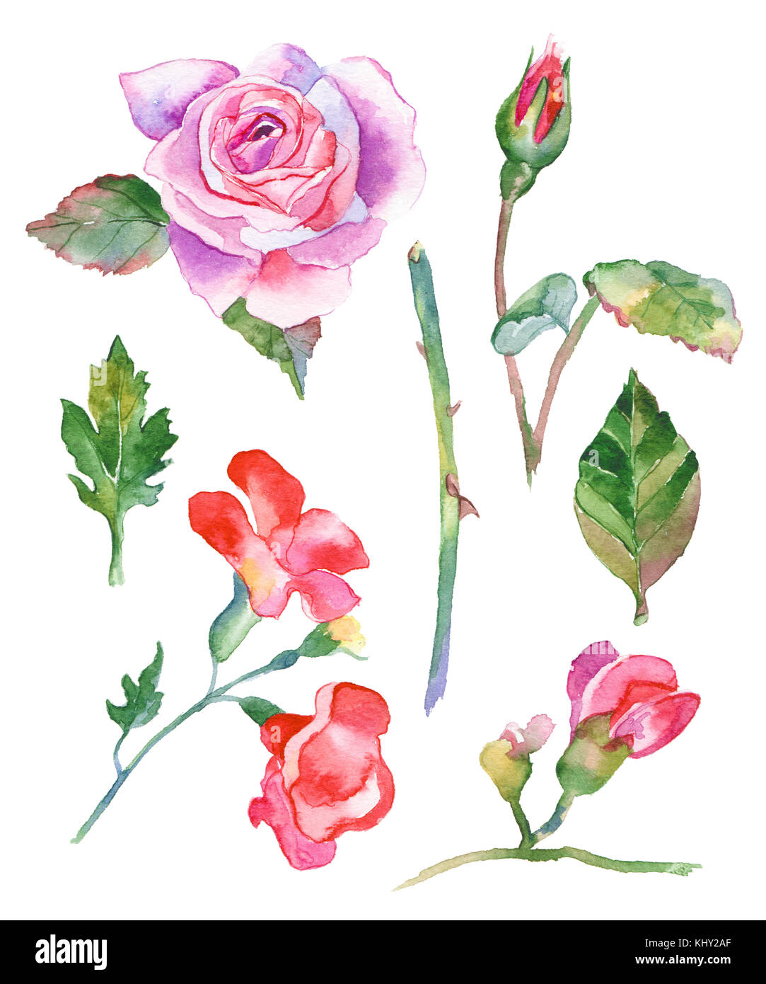  Aquarell gemalt Sammlung von Blumen. Hand gezeichnet Blume Bildidee 