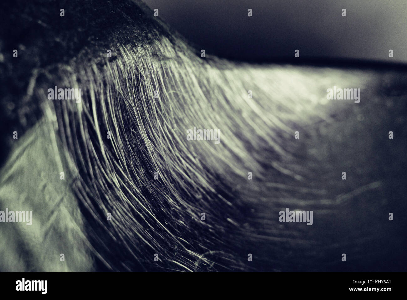 Ein Makro Bild von einem silbernen Löffel aus dem Mund meiner Freunde getroffen!!. Stockfoto