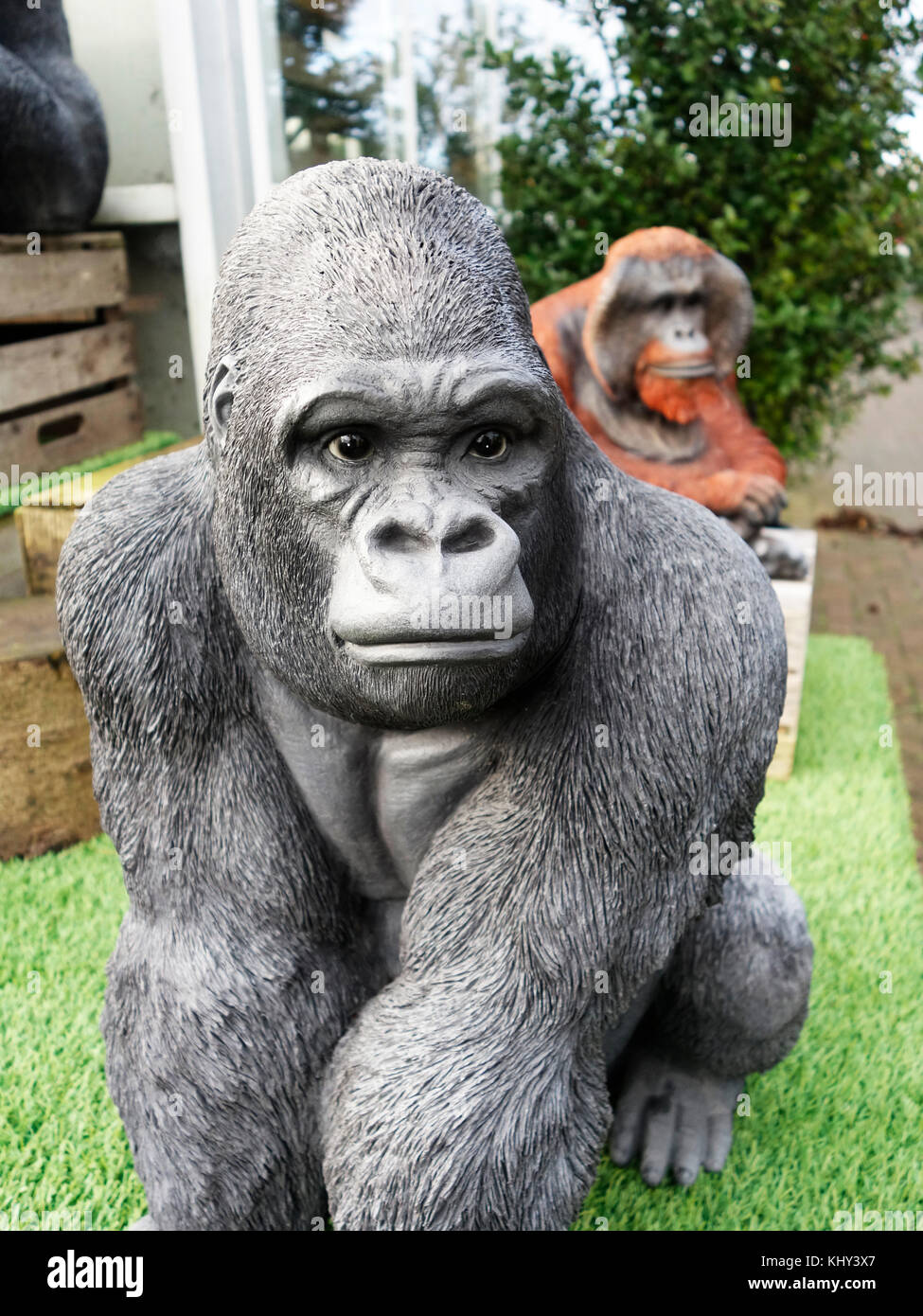 Great ape Stockfoto