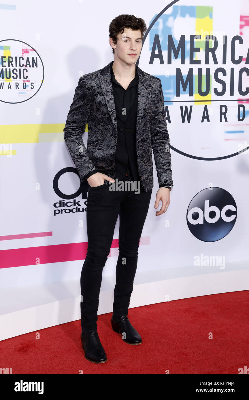 Shawn Mendes nimmt am 19. November 2017 an den American Music Awards 2017 im Microsoft Theater in Los Angeles, Kalifornien, Teil. Verwendung weltweit Stockfoto