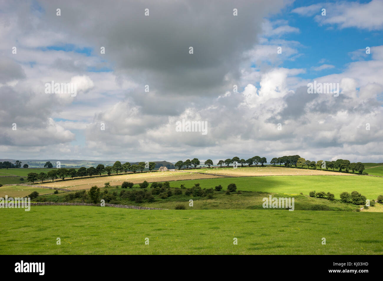 Scheune und Bäume in der nähe von Hartington im Peak District. Ein schöner Sommertag in der englischen Landschaft. Stockfoto