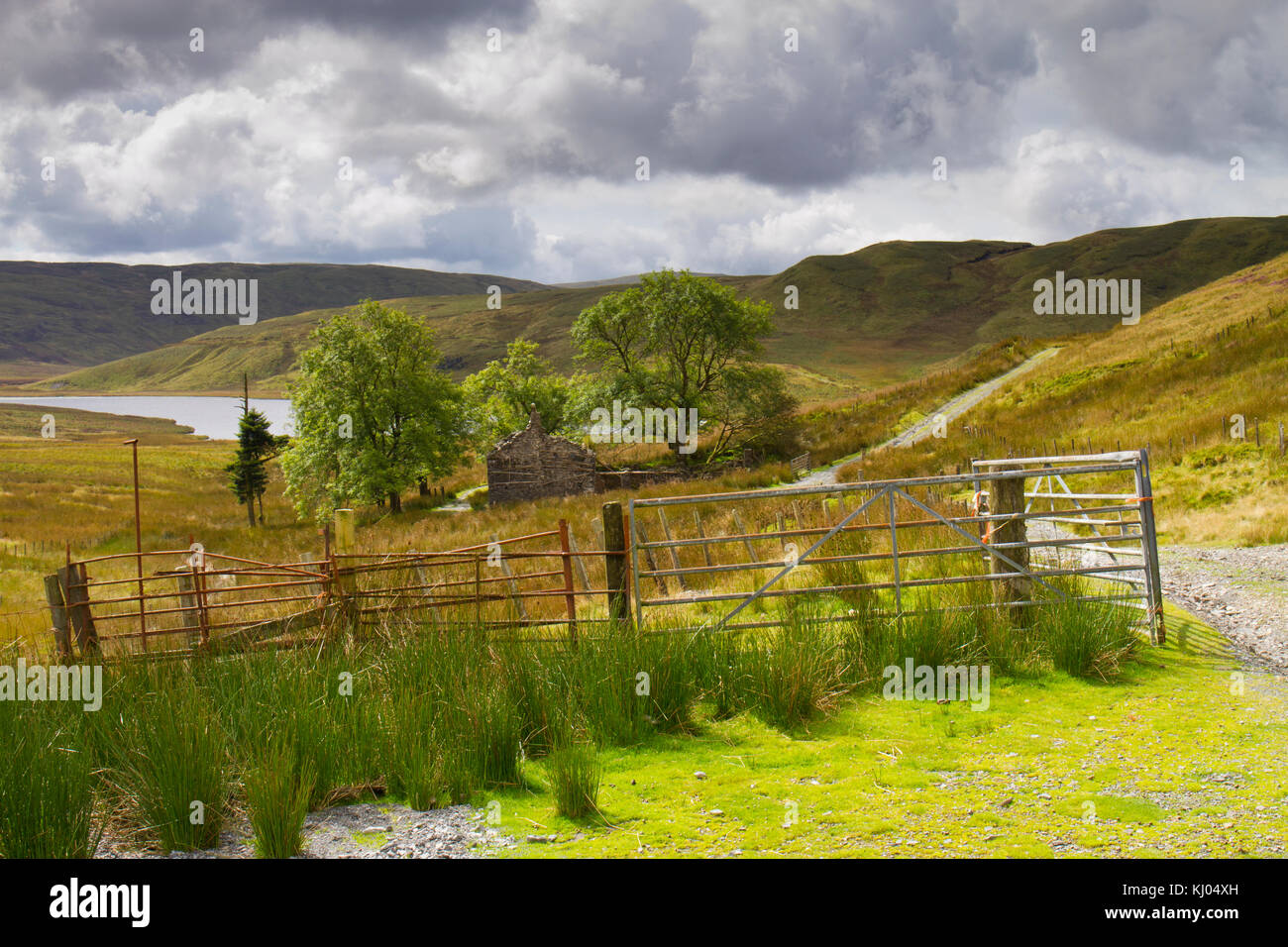Landschaft mit einer zerstörten Bauernhauses und Bergsee in Moor Lebensraum. Bugeilyn Nature Reserve, Powys, Wales. September. Stockfoto
