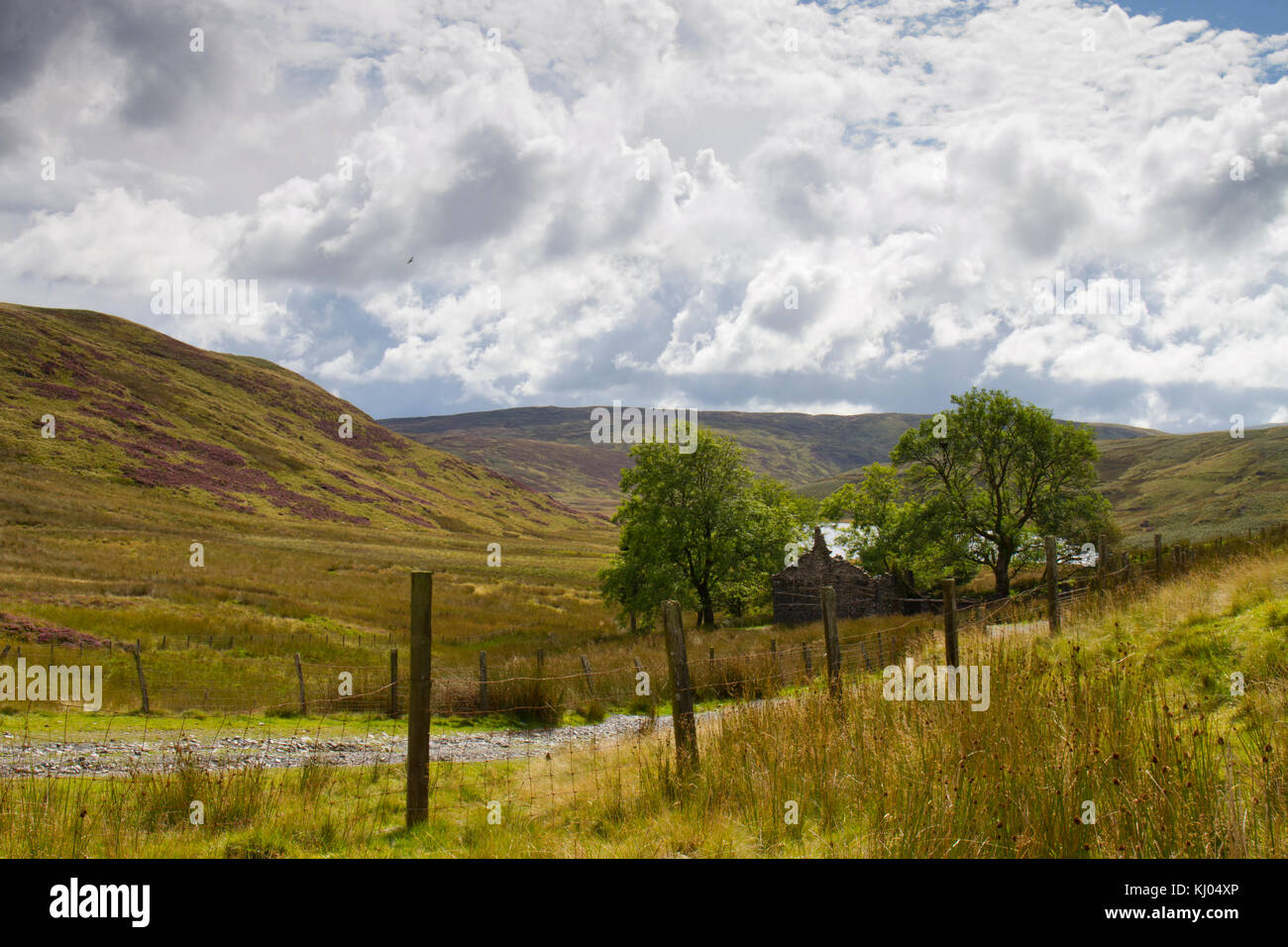 Landschaft mit einer zerstörten Bauernhauses und Bergsee in Moor Lebensraum. Bugeilyn Nature Reserve, Powys, Wales. September. Stockfoto