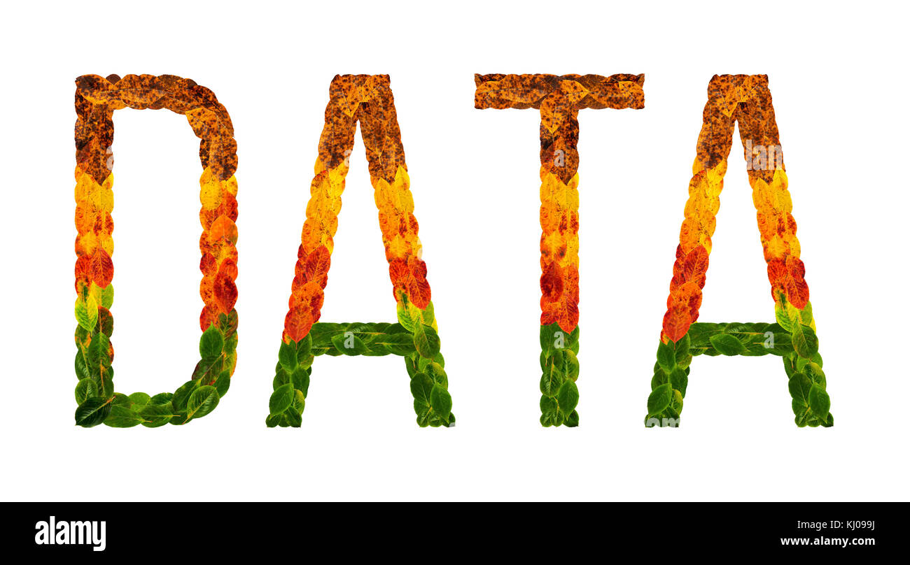 Word Daten mit Blättern weiß isoliert Hintergrund geschrieben ...