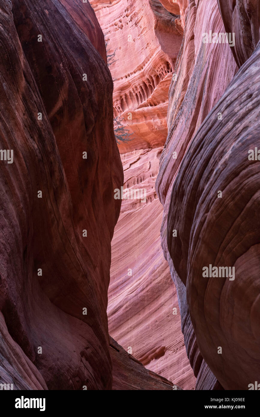 Erkunden Peek-A-Boo Slot Canyon, in der Nähe von Kanab, Utah Stockfoto