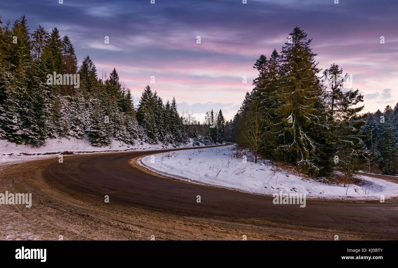 Serpentine in Wald in der Dämmerung Fichte. schöne Natur Landschaft im Winter Stockfoto