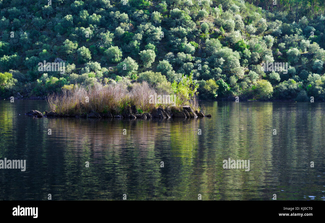 Kleine Insel im Fluss Tejo See hinter Portas de ródão, Portugal. Stockfoto