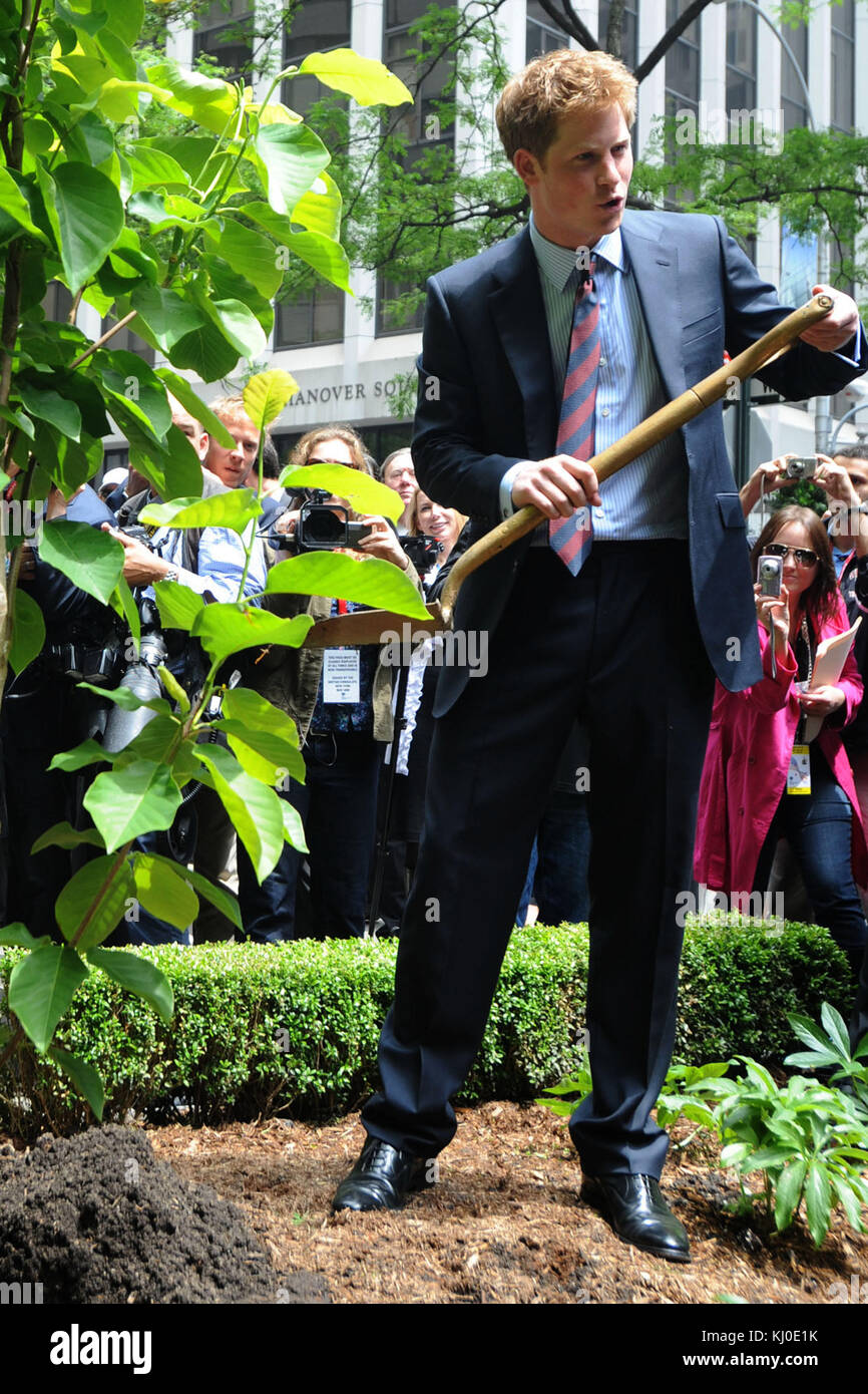 NEW YORK - MAI 29: BritainÕs Prinz Harry nach dem Besuch des WTC ging es weiter zum British Garden auf dem ManhattanÕs Hanover Square, wo mehr als 1,000 Menschen jubelten, als der Prinz ankam. Frauen, die kunstvolle Hüte trugen, lehnten sich von den Fenstern im ersten Stock des India House gegenüber dem Platz ab, der 1730 gegründet wurde. Harry nannte den Garten offiziell, bevor er ein privates Treffen mit amerikanischen Familien und den 67 Briten hielt, die am 11. September getötet wurden. Camilla Hellman, Präsidentin des British Memorial Garden Trust, ist eine alte Hand bei königlichen Besuchen Ñ die Prinzessin Royal, der Prinz von Wa Stockfoto