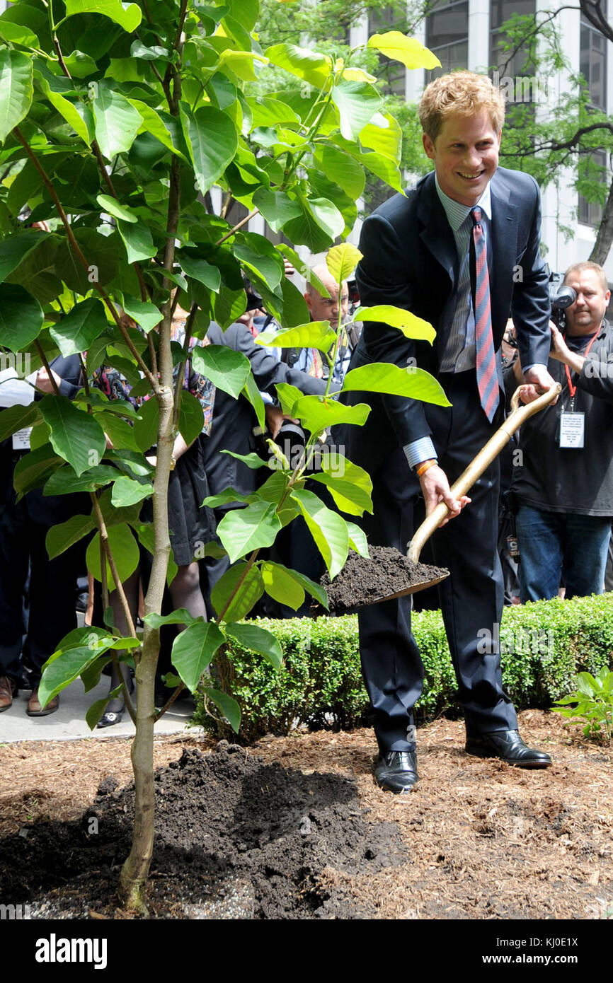 NEW YORK - MAI 29: BritainÕs Prinz Harry nach dem Besuch des WTC ging es weiter zum British Garden auf dem ManhattanÕs Hanover Square, wo mehr als 1,000 Menschen jubelten, als der Prinz ankam. Frauen, die kunstvolle Hüte trugen, lehnten sich von den Fenstern im ersten Stock des India House gegenüber dem Platz ab, der 1730 gegründet wurde. Harry nannte den Garten offiziell, bevor er ein privates Treffen mit amerikanischen Familien und den 67 Briten hielt, die am 11. September getötet wurden. Camilla Hellman, Präsidentin des British Memorial Garden Trust, ist eine alte Hand bei königlichen Besuchen Ñ die Prinzessin Royal, der Prinz von Wa Stockfoto