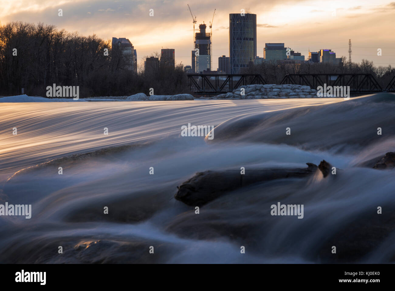 Calgary von den Bow River aus gesehen Stockfoto