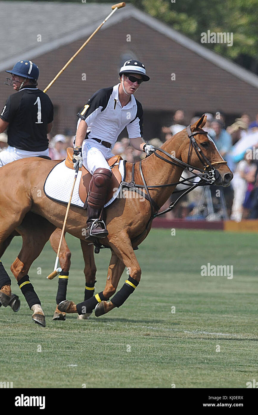 NEW YORK - Juni 27: Seine Königliche Hoheit Prinz Harry konkurriert während des 3. jährlichen Veuve Clicquot Polo Classic auf Governors Island am 27. Juni 2010 in New York City. Personen: Prinz Harry Stockfoto