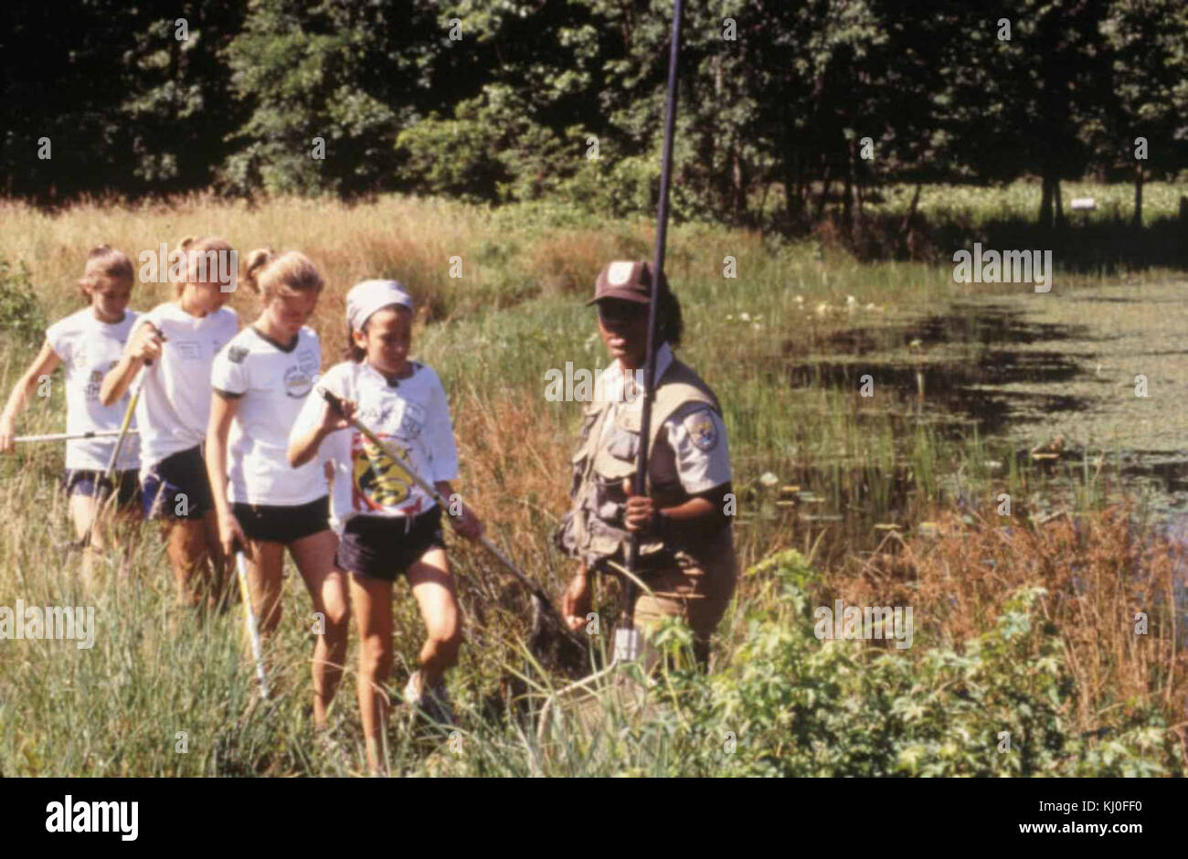 Pfadfinder in frog Umfrage Stockfoto