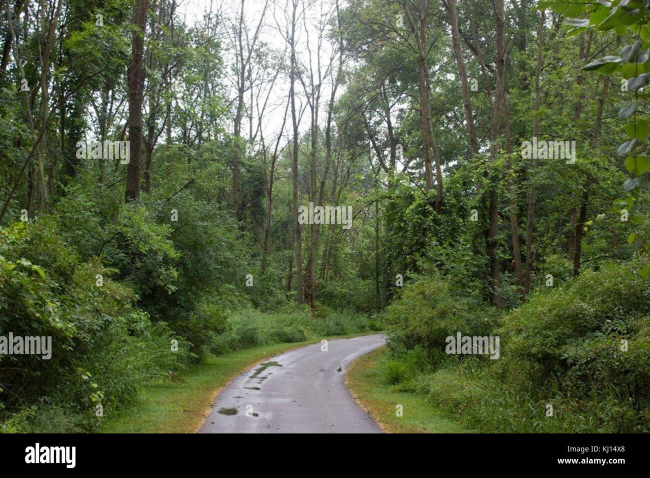 Wikipage 04. Stockfoto