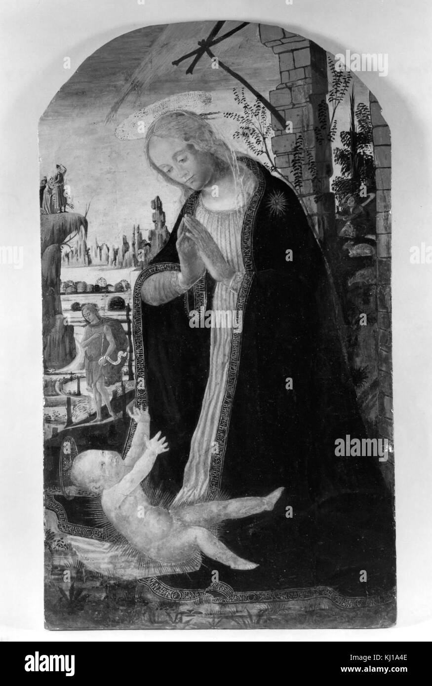 Jacopo del Sellaio - Madonna, die Anbetung des Kindes - Walters 37631 Stockfoto
