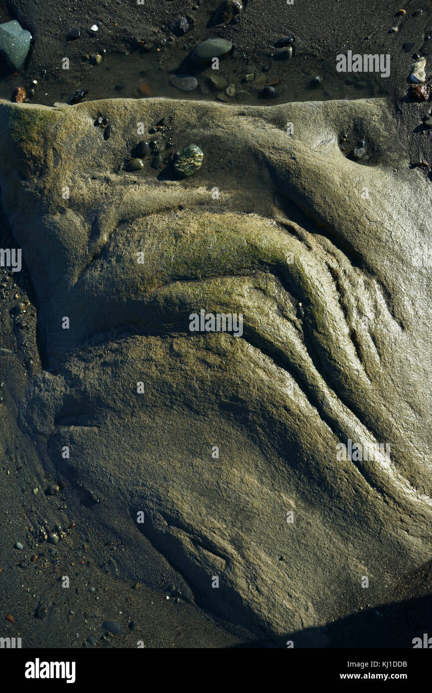 Erodiert rock Boulder in verzerrten Gesicht wie Grimasse auf Gezeiten Strand von Cook Inlet, Kenai Halbinsel, Alaska Stockfoto