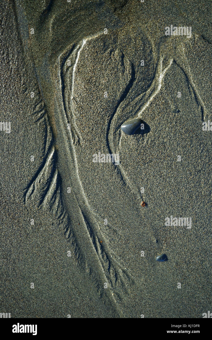 Sand Stromschnellen erstellen durch outflowind Wasser auf Gezeiten Strand, die Kachemak Bucht, Kenai Halbinsel, Homer, Alaska Stockfoto