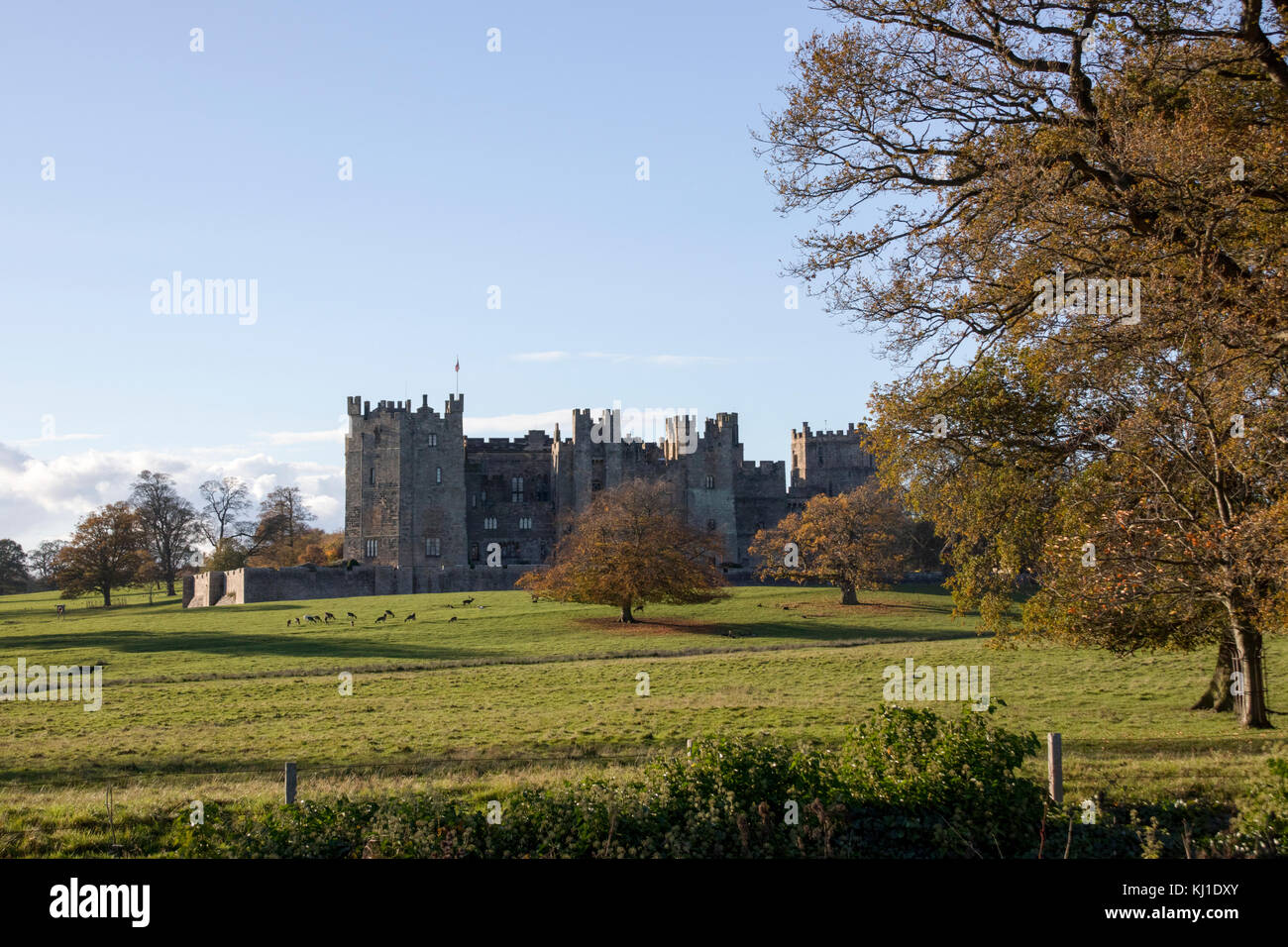 Raby Castle im Herbst Stockfoto