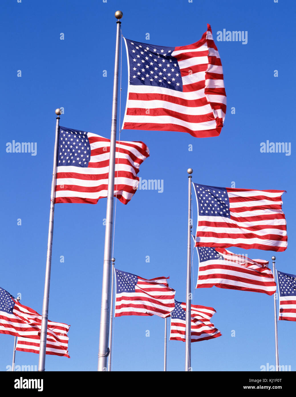 Sterne und Streifen Flaggen. Stockfoto