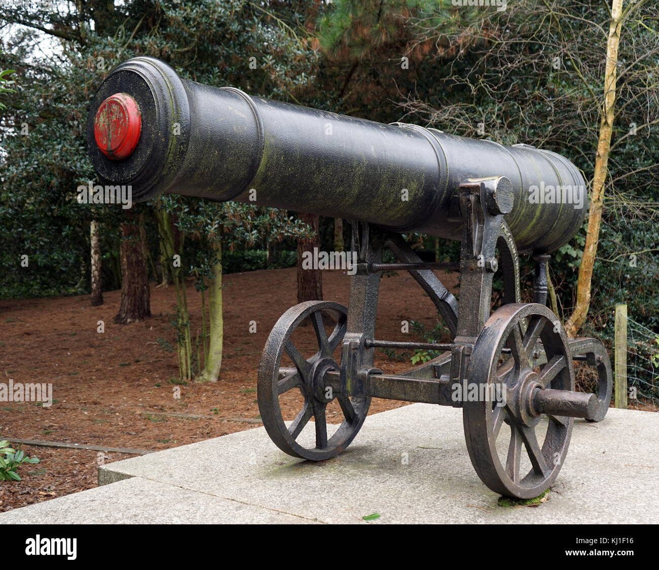 Gefangen, Russische Canon verwendet bei Sewastopol, während des Krimkrieges 1854 Stockfoto