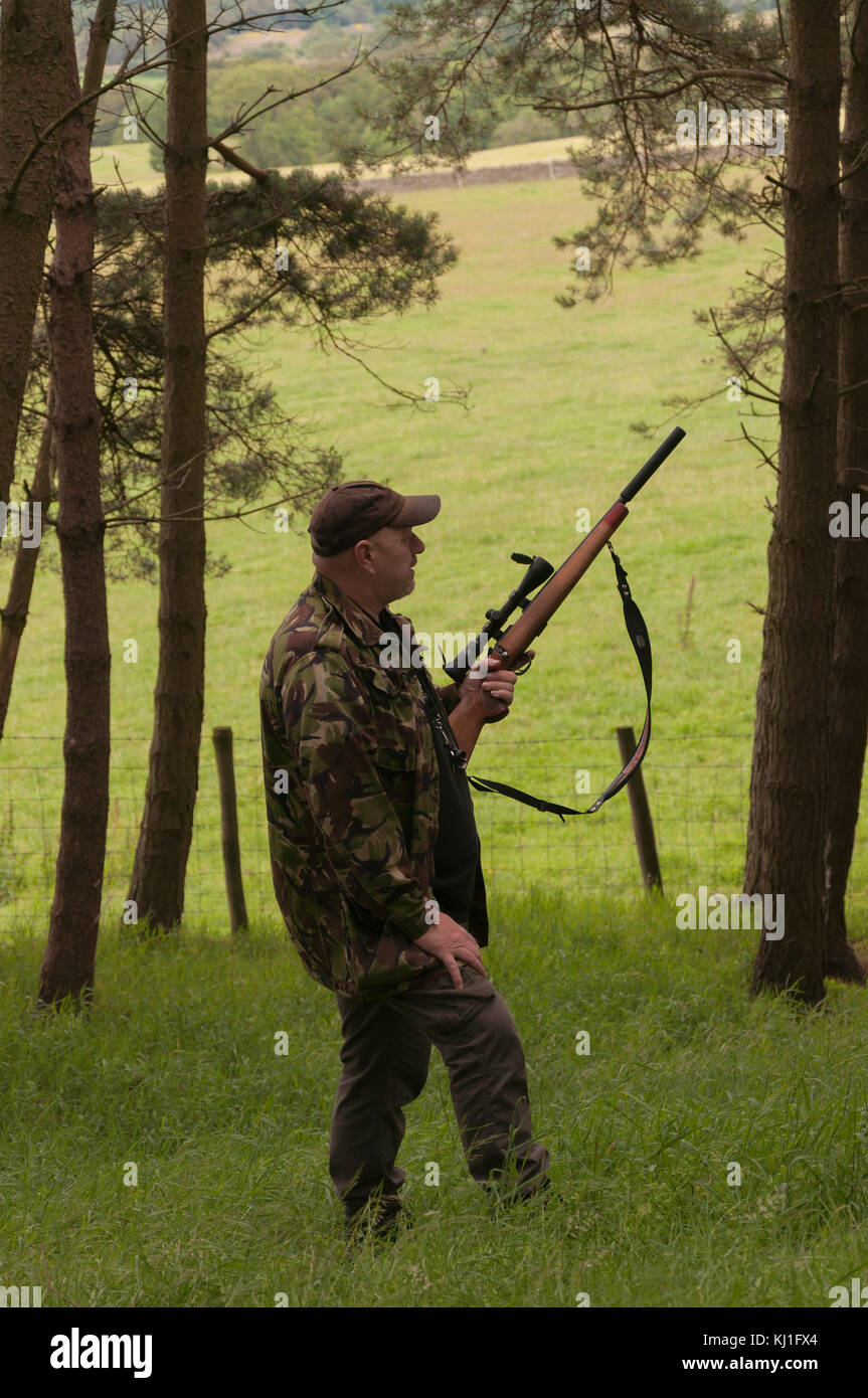 Ein Mann, der Ungeziefer auf Farmen in Weardale kontrolliert, in einem kleinen Waldgebiet steht und zuhört und beobachtet, ein Geschoßgewehr hält und zum Schweigen gebracht wird. Stockfoto