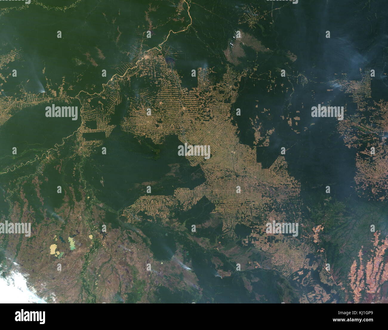 Die Abholzung des Amazonas Regenwald in Rondonia, Brasilien. In diesem  Bild, intakten Wald ist tief grün, während gelöscht Bereiche tan sind  (nackten Boden) oder grün (Kulturen, Weide, oder gelegentlich, zweite -  Wachstum