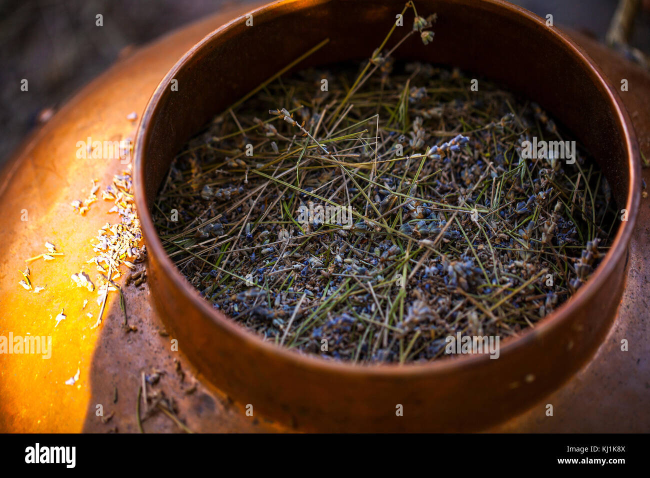 Antike Kupfer Schüssel zur Destillation verwendet Lavendel ätherisches Öl zu produzieren Stockfoto