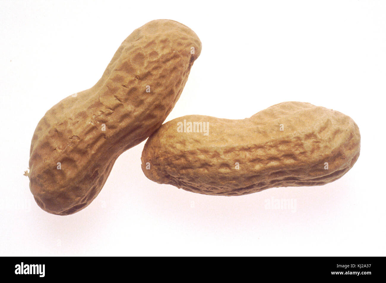 Erdnüsse (1) Stockfoto