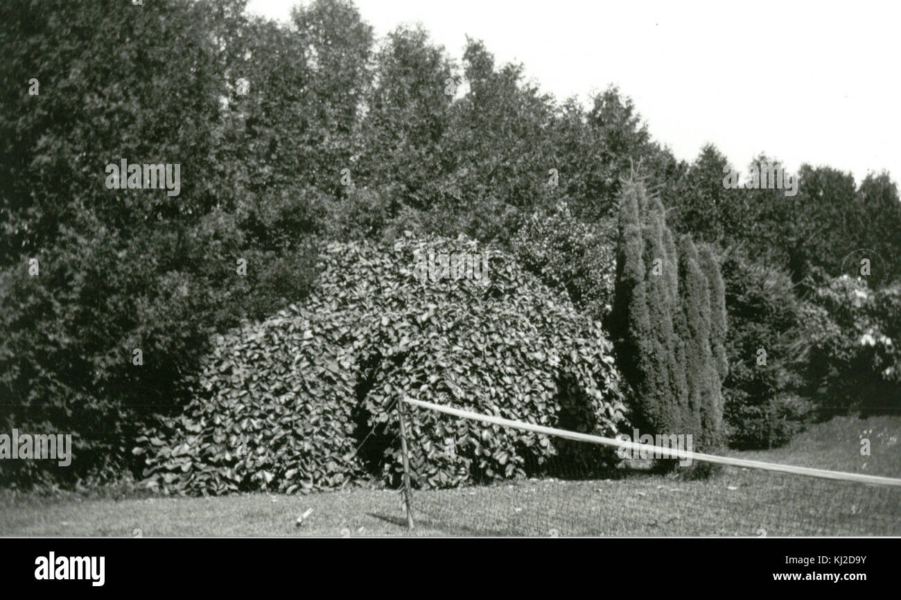 Dieses Bild scheint auf ein bestimmtes historisches oder archiviertes Ereignis aus dem Mai 1928 zu verweisen, das in einem Archiv oder einer Sammlung unter der Referenznummer 19280591 erfasst wurde und einen bedeutenden Moment oder ein Ereignis in der Geschichte dokumentiert. Stockfoto