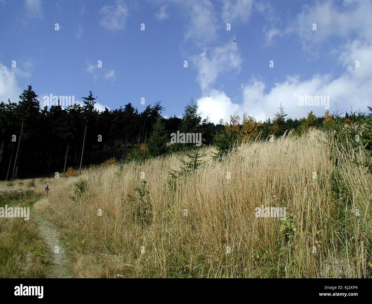 Sommer-Felder Stockfoto Sommer-Felder Stockfoto