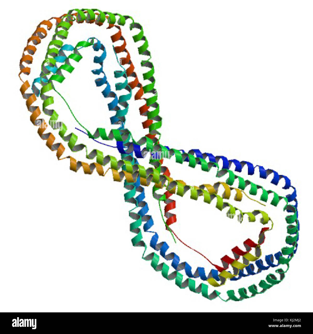 PBB Protein APOA1-Bild Stockfoto