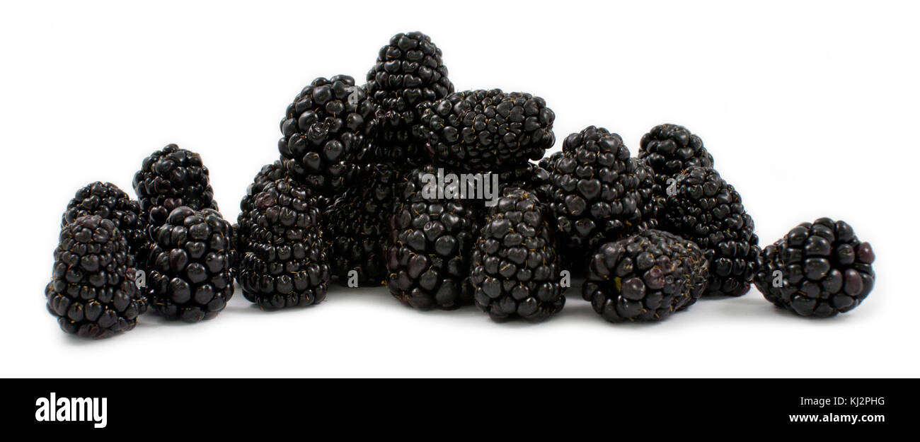 Brombeeren Stockfoto