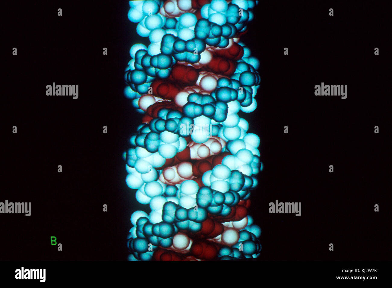 Computer Illustration Das Ist Rna Stockfotos und -bilder Kaufen - Alamy