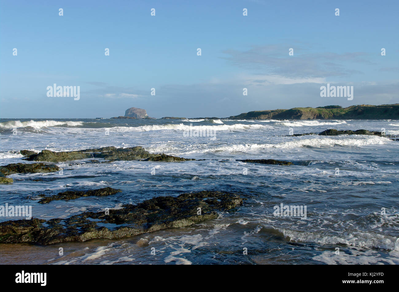 Bass Rock von North Berwick, Schottland Stockfoto