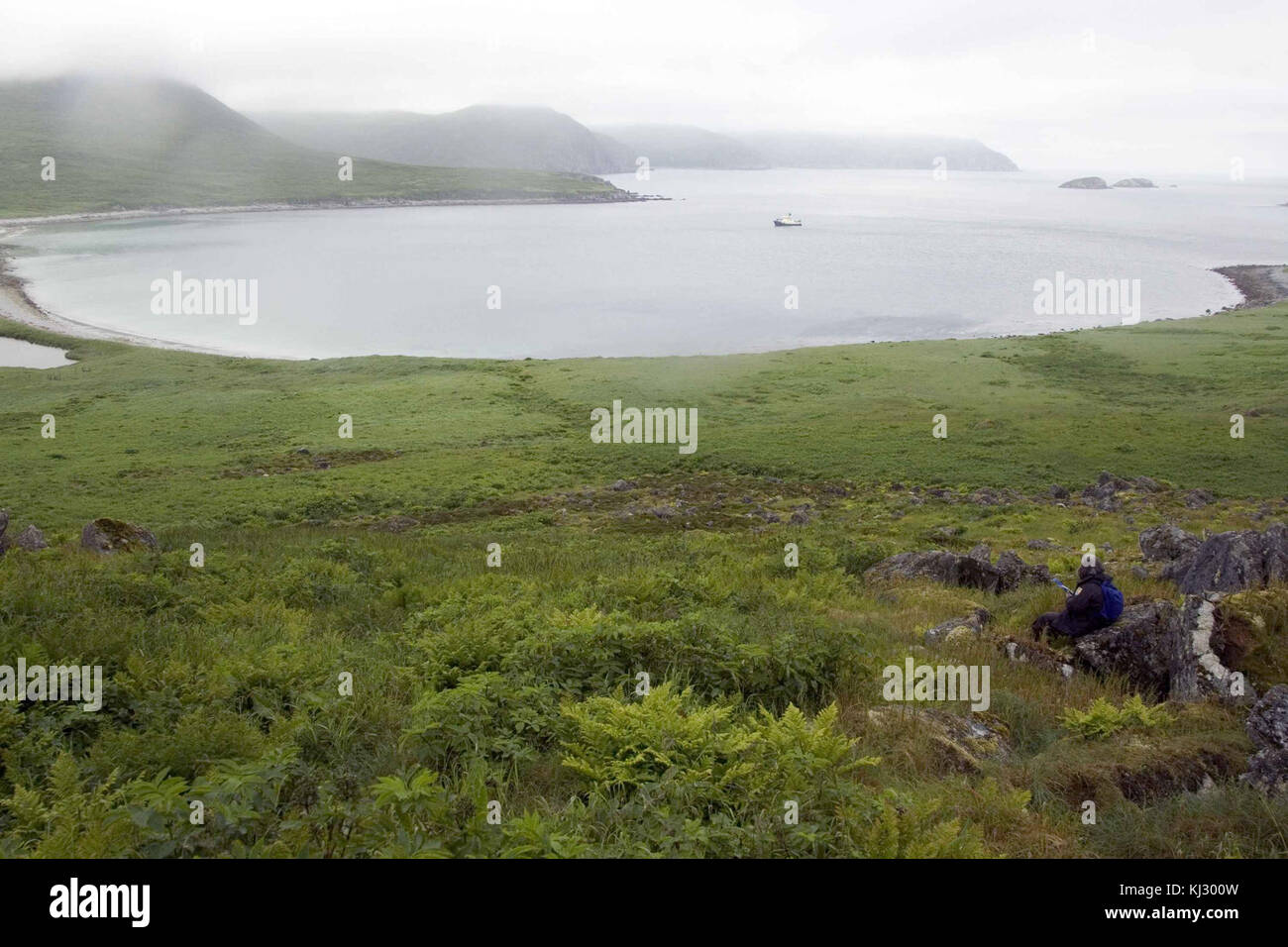 Koniuji Shumagin Inseln Big Island Stockfoto