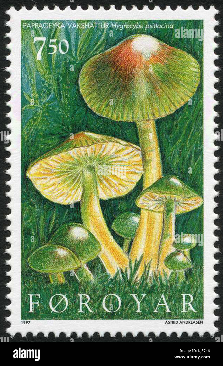 Färöer Stempel 306 hygrocybe psittacina Stockfoto